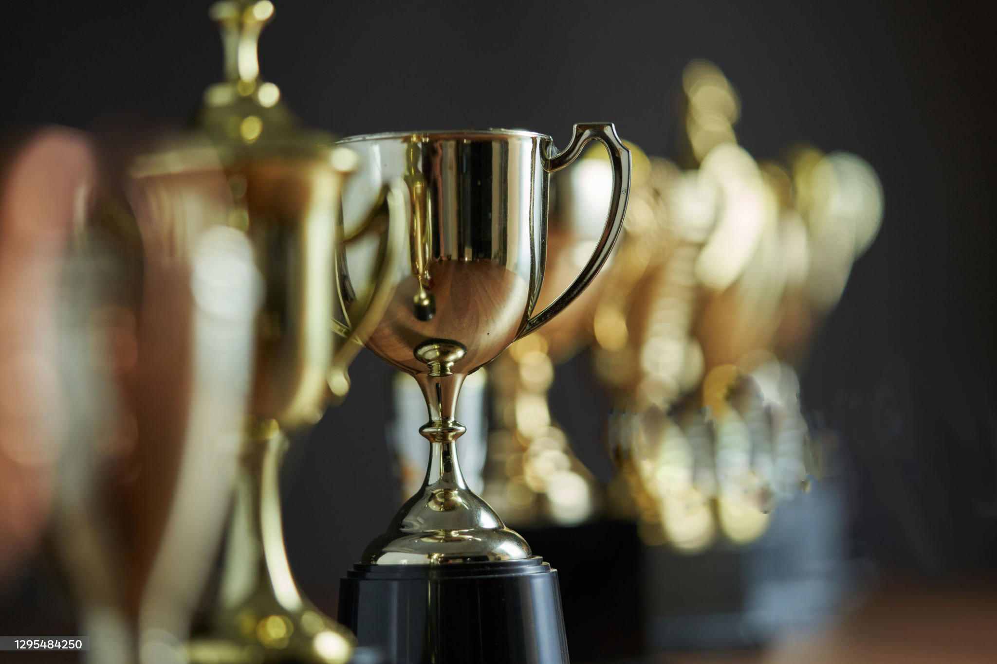 九游娱乐官方平台荣誉资质